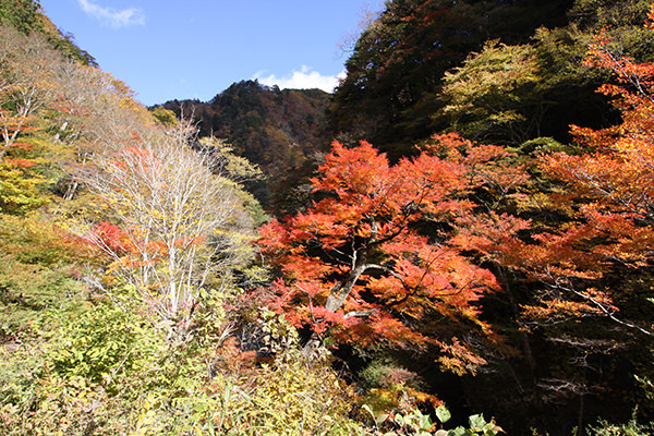 大滝温泉（道の駅大滝温泉）